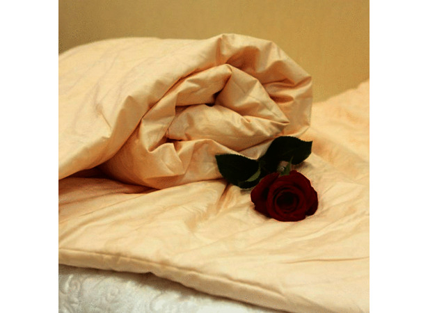 Одеяло Kingsilk Elisabette Элит всесезонное 220*240 см (персиковое)