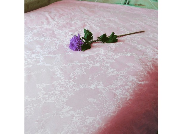 Одеяло Kingsilk Elisabette Элит всесезонное 200*220 см (розовое)