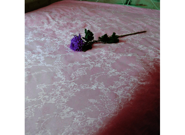Одеяло Kingsilk Elisabette Элит всесезонное 150*210 см (розовое)