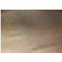 Комплект постельного белья Marize Растительный орнамент на бежевом фоне  жаккард двуспальный (нав 70х70 см)