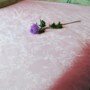 Одеяло Kingsilk Elisabette Элит всесезонное 200*220 см (розовое)